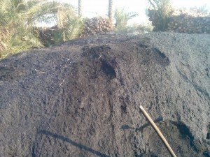 استغاثة من اصحاب المقامير 2