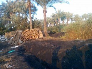 استغاثة من اصحاب المقامير