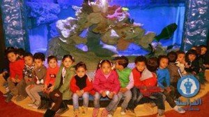 اكواريوم الغردقة متعه تستحق المشاهدة (5)