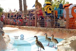 اكواريوم الغردقة متعه تستحق المشاهدة (8)
