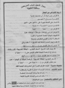 محافظ الدقهلية يوافق على رخصة مزاولة نشاط مؤقتة 2