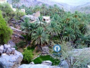 مسفاة العبريين 1