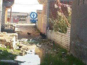 متي يحاسب رؤساء الأحياء لأجل مصر (14)