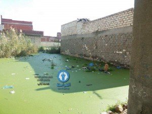 متي يحاسب رؤساء الأحياء لأجل مصر (4)