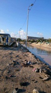 الصور الفراعنة ترصد أمتهان الموتى في مقابر الورديان1