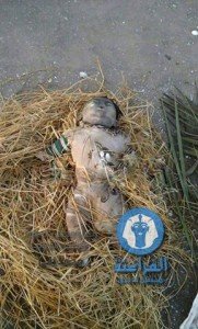 العثور على جثه طفل فى بحر جمصه