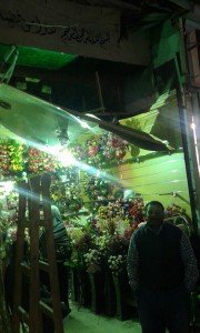 تستنجد بمحافظ الأسكندرية ومدير الأمن من حى الجمرك1