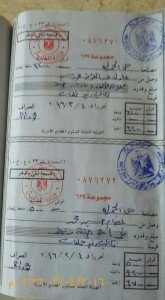 حي الجمرك وحملة ازالة صباحية4