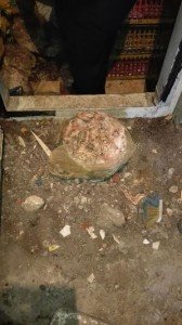 ضبط 2.3 طن لحوم دواجن مجمدة