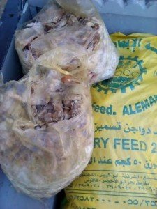 ضبط 2.3 طن لحوم دواجن مجمدة3
