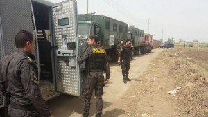 تنفيذ قرار فصل الحد المساحى بين أراضى أملاك الدولة وأهالى قرية  الستامونى1