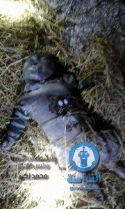 فك لغز الطفله القتيله بجمصه1