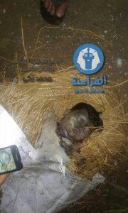 فك لغز الطفله القتيله بجمصه2