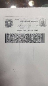 بلبل البسطويسى4