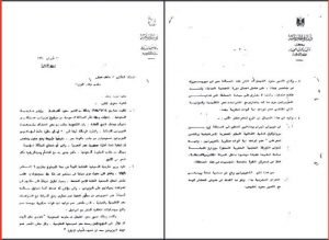 تيران وصنافير7