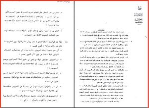 تيران وصنافير8