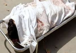 شريف عادل حبيب 2