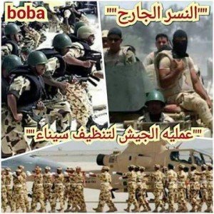 عمليات النسر الجارح