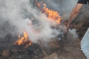 حريق جرن البصل