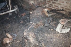 حريق جرن البصل10