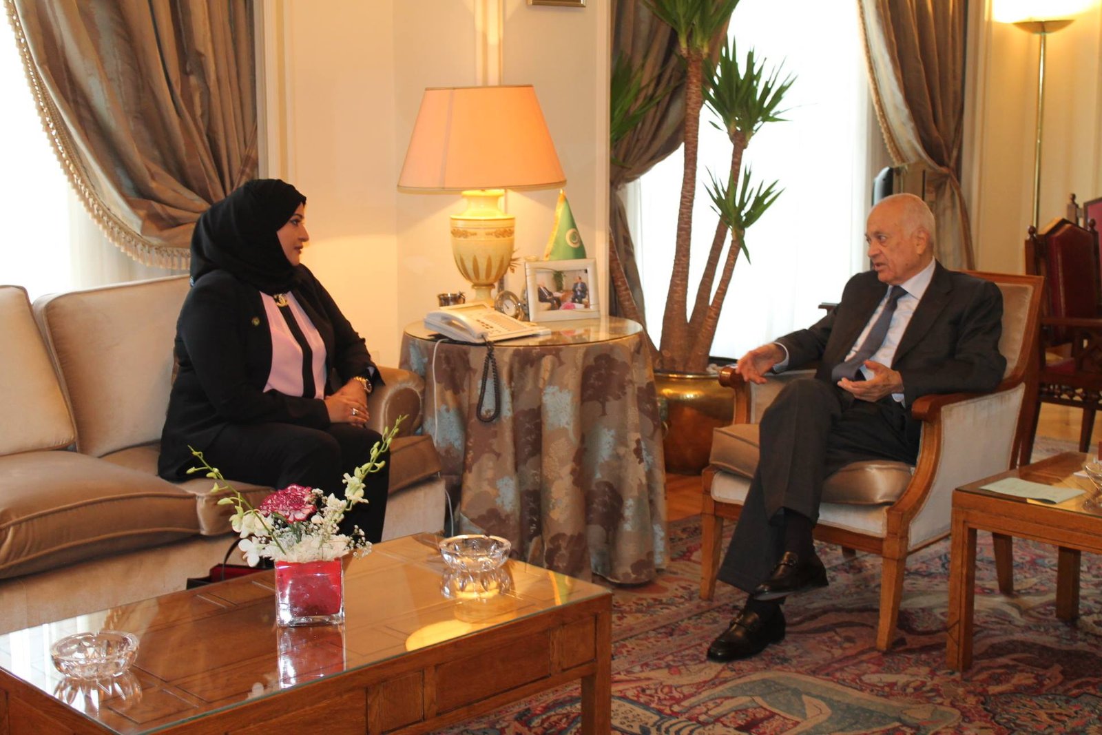 نبيل العربي للهاشمي1