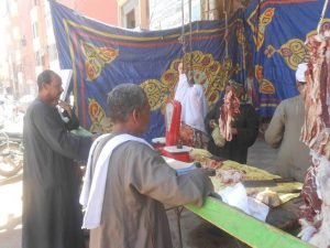 13438848_1207683885922031_2304973963758961065_n