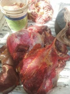 13510872_1205129059510847_4167666098790412982_n