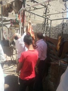 13528835_1205128969510856_3871877023991616627_n