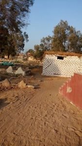 13551025_538791982975691_447152905_n