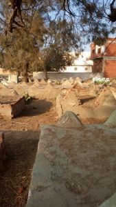 13578731_538792166309006_125118012_n