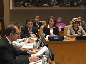 المنتدى  السياسي الرفيع المستوى للتنمية المستدامة