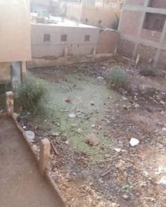 غرق المنازل والمصالح الحكوميه بمياه الصرف الصحي بزفتى