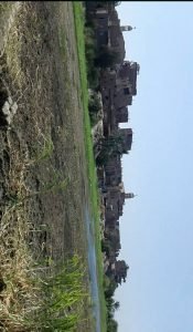 14095764_1147918311917805_7444483061800676085_n