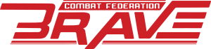 Brave Logo