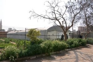 المؤسسة العقابية بالمرج1