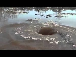 شوارع مصر تحت القصف 24 ساعة8