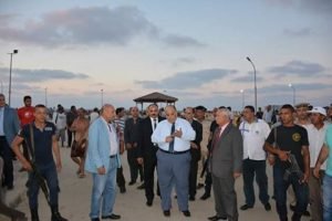 محافظ الدقهلية للشيوى