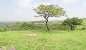 واخيرا الشمس تشرق على جبال وسهول ظفار بعد احتجابها 50 يوما