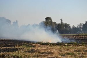 %d8%a5%d8%ad%d8%a7%d9%84%d8%a9-%d9%85%d8%b3%d8%a6%d9%88%d9%84-%d8%ad%d9%88%d8%b6-%d8%a7%d9%84%d8%af%d9%84%d8%a7%d9%84%d8%a9-%d8%a7%d9%84%d8%b4%d8%b1%d9%82%d9%8a%d8%a9-%d8%a8%d9%82%d8%b1%d9%8a%d8%a9