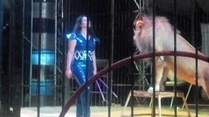 %d8%a7%d9%88%d8%b3%d9%87-%d8%a7%d9%84%d8%ad%d9%84%d9%88-1