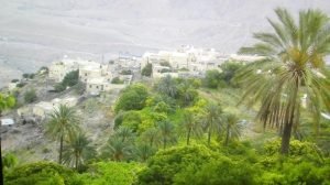 %d8%b3%d9%84%d8%b7%d9%86%d9%87-%d8%b9%d9%85%d8%a7%d9%86