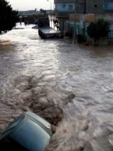 14502923_1786419051611605_3619371948614555273_n