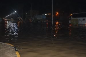 14717048_750660061739421_9108260128682996373_n