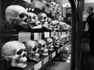 %d8%a7%d9%84%d9%82%d8%aa%d9%84-%d8%a8%d8%a7%d9%84%d9%88%d8%b1%d8%a7%d8%ab%d8%a9