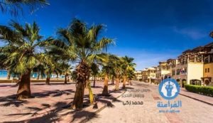 %d8%a8%d8%a7%d9%84%d8%b5%d9%88%d8%b1%d9%85%d9%86%d8%aa%d8%ac%d8%b9-%d8%b3%d9%87%d9%84-%d8%ad%d8%b4%d9%8a%d8%b42